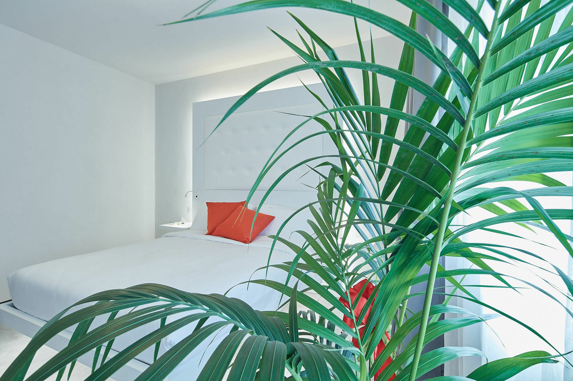 B&B Via Roma 25 Αρέτσο Εξωτερικό φωτογραφία